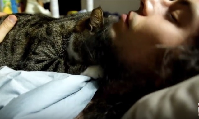 【動画】飼い主とネコ、朝の恒例行事 画像