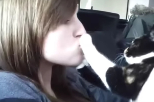 【動画】キスはお断り！飼い主のキスを拒む犬猫 画像