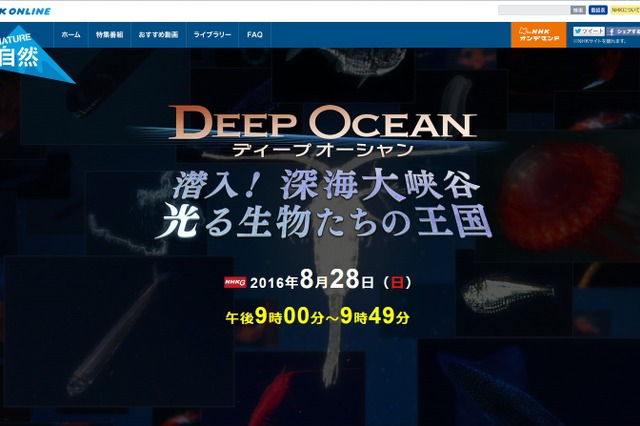 ダイオウイカ撮影のNHK深海取材班が挑む!発行生物の王国の秘密 画像