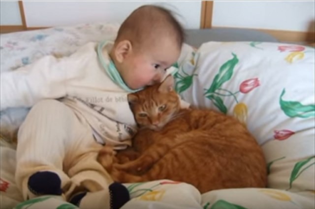 【動画】仲良く寄り添う赤ちゃんと猫 画像
