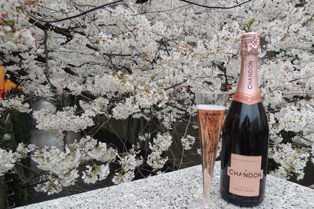 「お花見 CHANDON 目黒川」今年も開催 画像