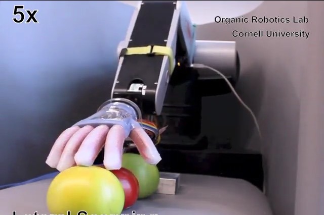 人の触覚に近い機能を持った