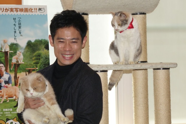 伊藤淳史「ねことの付き合い方学んだ」……映画『ねこあつめの家』 画像