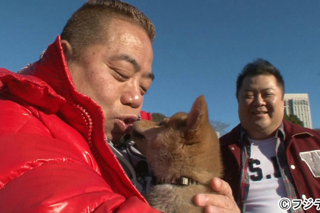 出川哲朗が柴犬と珍道中!?　芸能人たちの