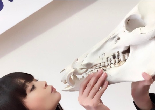 観月ありさ、イノシシの頭蓋骨と見つめ合う！その横顔が「美しい」 画像