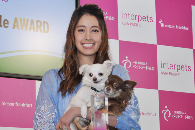 森泉、ペットのエサ代は月100万円以上とコメント！ 画像