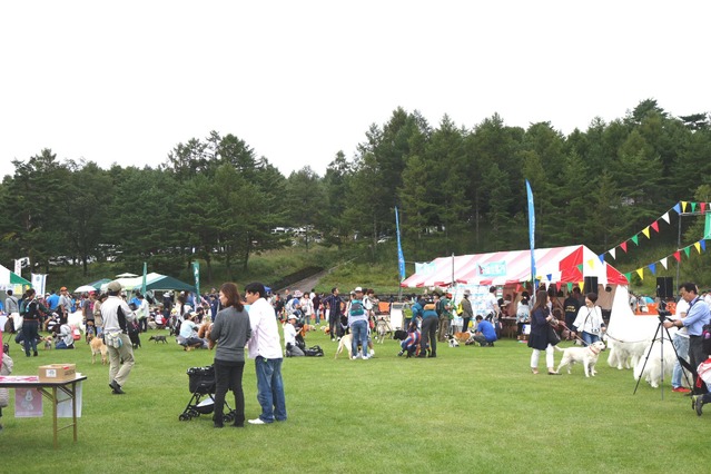 【八ヶ岳ドッグフェスタ Vol.1】ペットとの宿泊とドライブを考える 画像