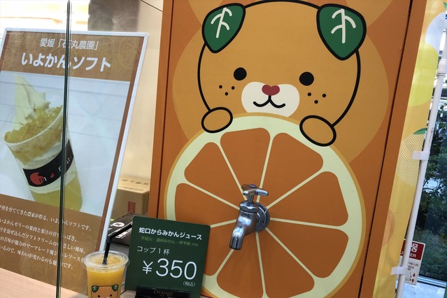西日本豪雨から1年…復興に向かって歩む愛媛県南予で楽しむ歴史とグルメ旅 画像