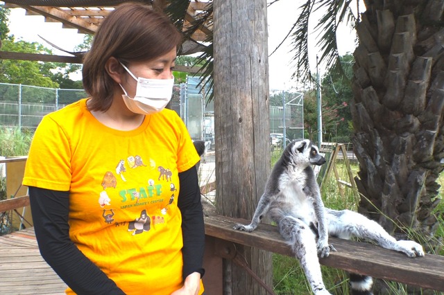 夢は自分の動物園を持つこと！『セブンルール』がサル類専門動物園の飼育員に迫る！ 画像