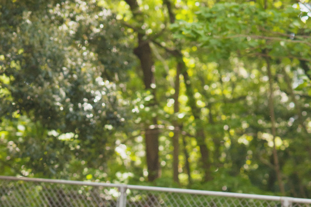 元乃木坂46で現在は心理カウンセラー！適応障害を乗り越えた中元日芽香の初の著書発売！ 画像