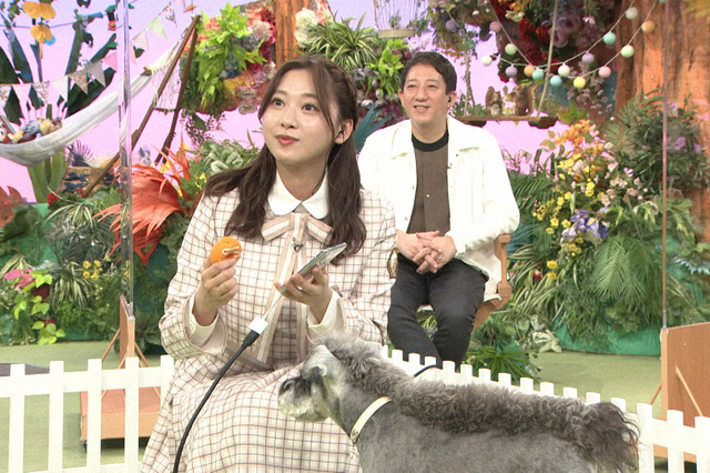 日向坂46・富田鈴花が犬写真バトル！松井愛莉と対決 画像