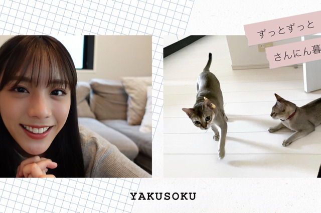 貴島明日香、”スーパー猫の日”に愛猫たちとのVlog公開 画像