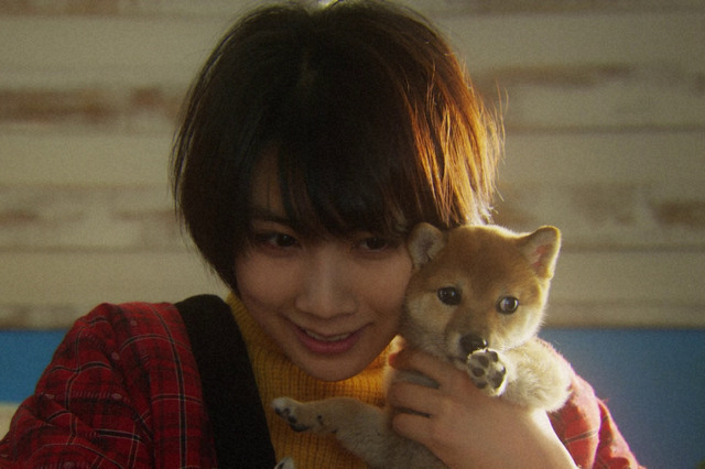 “ペット依存”通して本当の愛や幸せ見つける……松本穂香主演NHKドラマ『ペットにドはまりして、会社辞めました』 画像