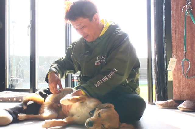 坂上忍の保護犬猫ハウス「さかがみ家」に独占密着960時間......『坂上どうぶつ王国3時間SP』 画像