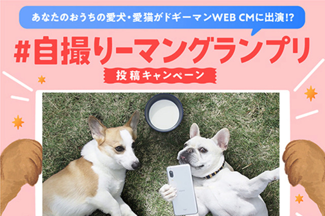 “うちのコ”がドギーマンのWEB CMに?!動画・写真募集キャンペーンスタート 画像
