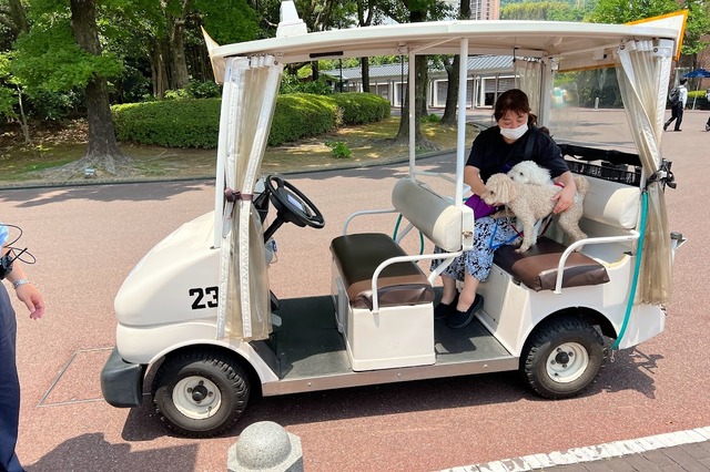 【GO WITH わんこツアー】ペットと一緒にハウステンボスへ～3日目 画像