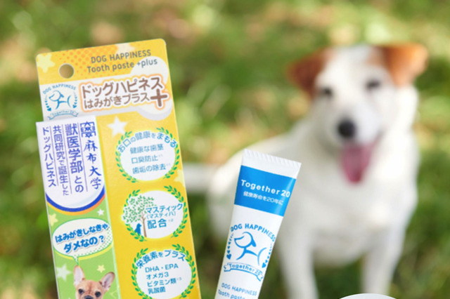 犬のオーラルケアの重要性を解説 「ドッグハピネス」公式サイトオープン 画像