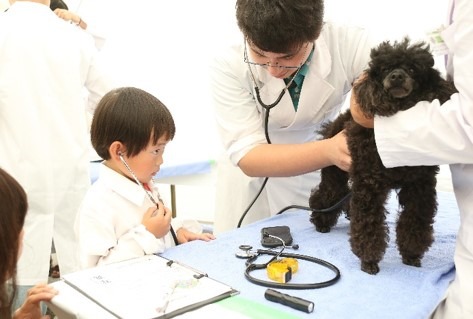 動物と触れ合える「2022動物感謝デー in JAPAN “World Veterinary Day”」開催 画像