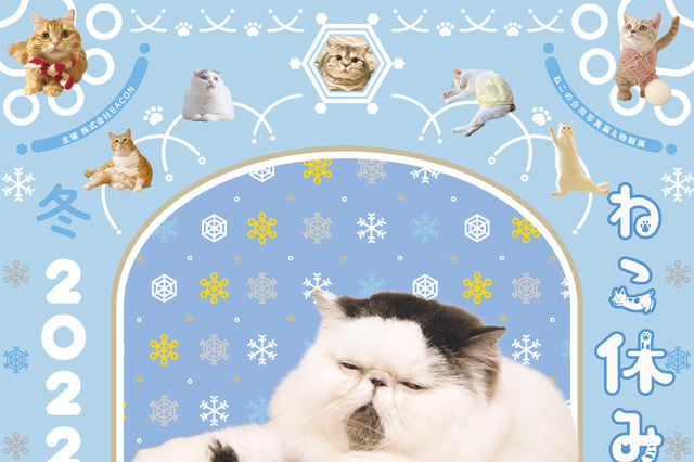 スター猫の愛らしい姿が拝める「ねこ休み展 冬 2022 in 福岡」開催！ねこ休み福袋も限定登場 画像