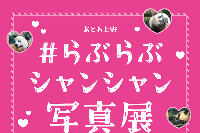 上野動物園のジャイアントパンダ「#らぶらぶシャンシャン写真展」開催決定! 画像