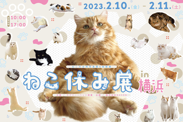 猫の祭典「ねこ休み展」が2年ぶりに横浜上陸！ 画像
