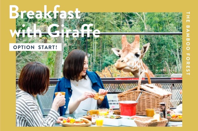 動物園併設グランピング施設が“キリン”と一緒に朝食を楽しめるプランを再開 画像