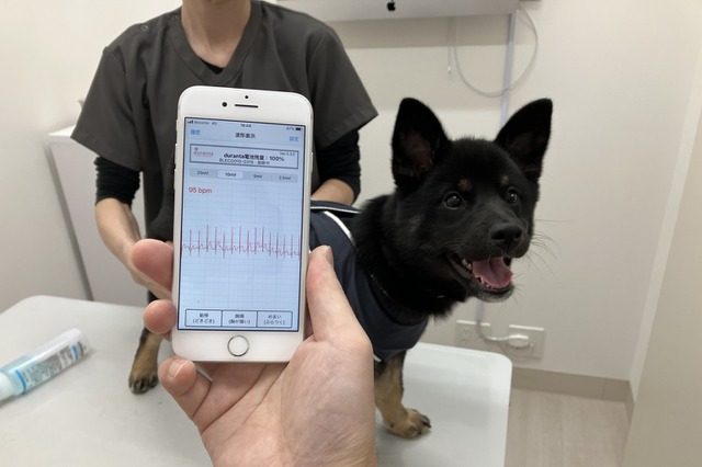 犬・猫の症状を早期発見!家庭向け医療用生体モニター開発の共同研究がスタート 画像