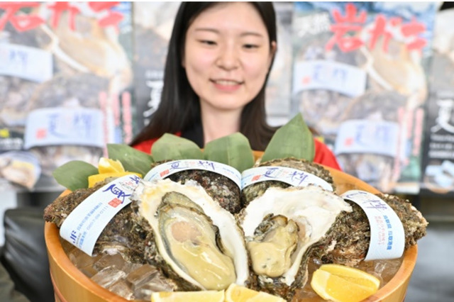 鳥取の天然岩ガキ「夏輝」シーズン到来！プレミアムな「砂丘の誉」も 画像