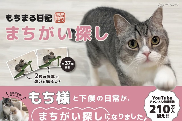 人気ねこ“もちまる”が間違い探しに！『もちまる日記まちがい探し』予約受付開始 画像