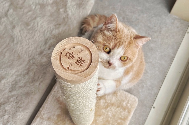 猫壱、ねこ用タテ型つめとぎ「バリバリつめとぎポール 麻」販売開始 画像