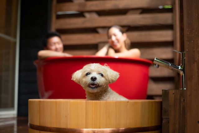 日本初!?愛犬と楽しめる露天風呂付きプレミアムヴィラが「フォレストヒルズ那須」にオープン! 画像