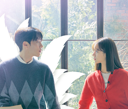 【韓国ドラマ】『九尾の狐とキケンな同居』「あらすじ」・「キャスト」・「見どころ」まとめ 画像