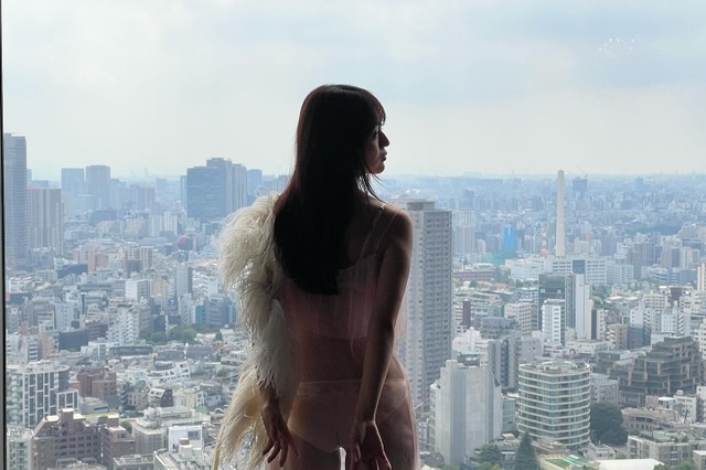 「やばすぎます」豊田ルナ、ランジェリーが見えるスケスケ衣装披露 画像