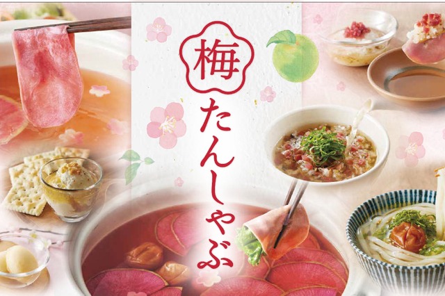 極み梅だしで味わう!しゃぶしゃぶ温野菜「梅たんしゃぶ食べ放題コース」期間限定販売 画像