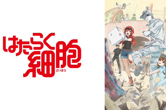 アニメ『はたらく細胞』がNHK Eテレで4月放送スタート!キャストに花澤香菜、前野智昭ら 画像