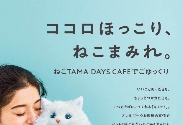 二子玉川に「ねこTAMA DAYS CAFE」期間限定オープン 画像