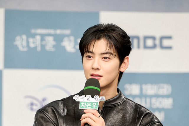 チャウヌ、視聴率達成後の公約にたじたじ!韓国ドラマ『ワンダフルワールド』記者会見が開催 画像