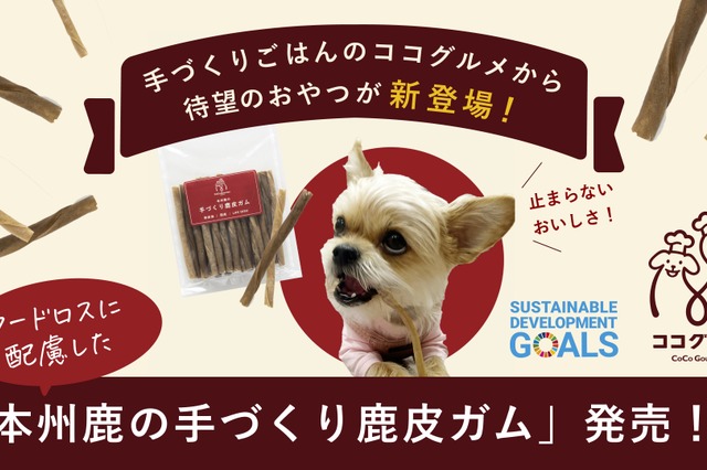 愛犬の口腔ケアに！本州鹿を使った犬用デンタルガムが予約販売開始 画像