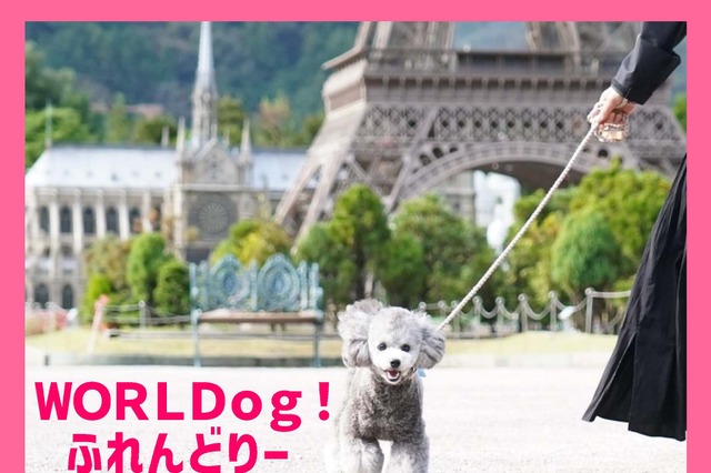 栃木・東武ワールドスクウェア、愛犬とリード入園できる「WORLDog！ふれんどりー」スタート 画像