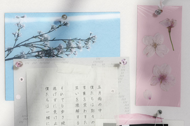 &TEAM、新曲のMood Teaserを公開！桜など春を感じるイメージに新しい物語への期待が膨らむ 画像