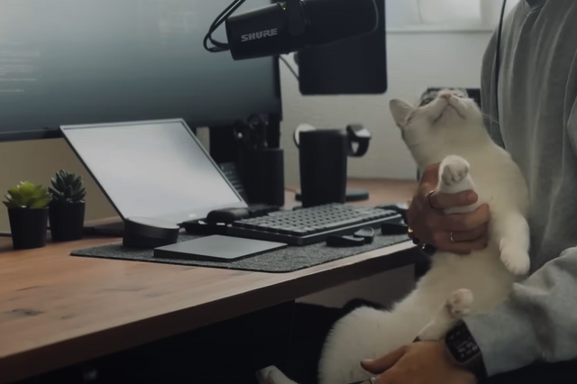 ニャンとスマートな空間！猫と暮らすクリエイターの片付けがラクになるデスク設計術 画像