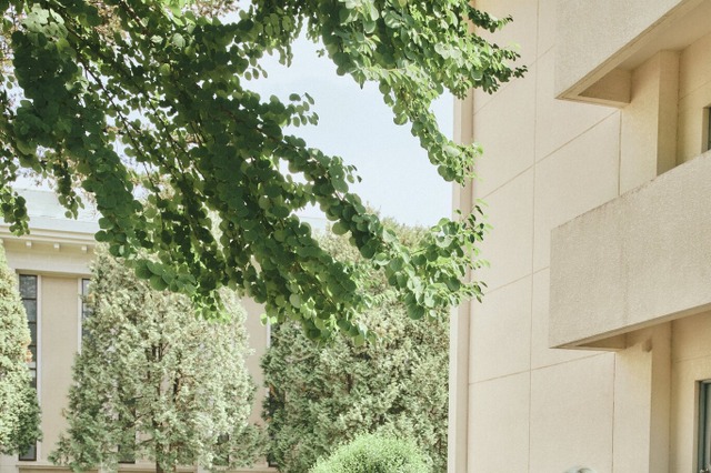 ILLIT、2ndミニアルバムが音源チャート席巻！ 「Cherish (My Love)」MVは16時間で1,000万再生突破 画像