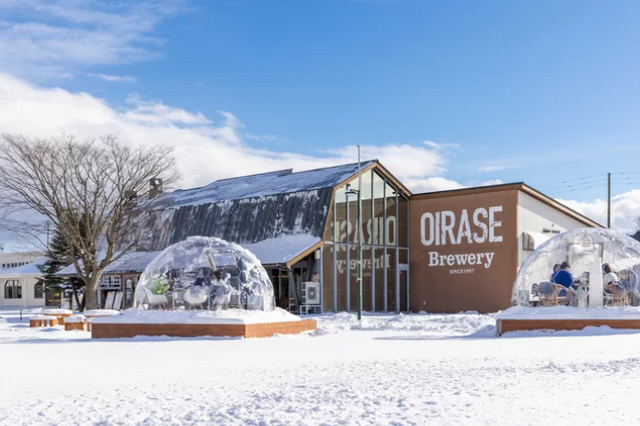 青森十和田に冬季限定「奥入瀬かまくらドームレストラン」オープン 画像