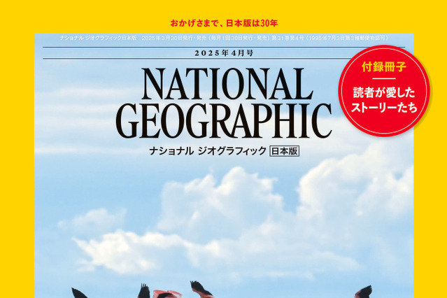 『ナショナル ジオグラフィック日本版』30周年記念特別号発行！ 過去の人気記事を網羅したムックも登場 画像