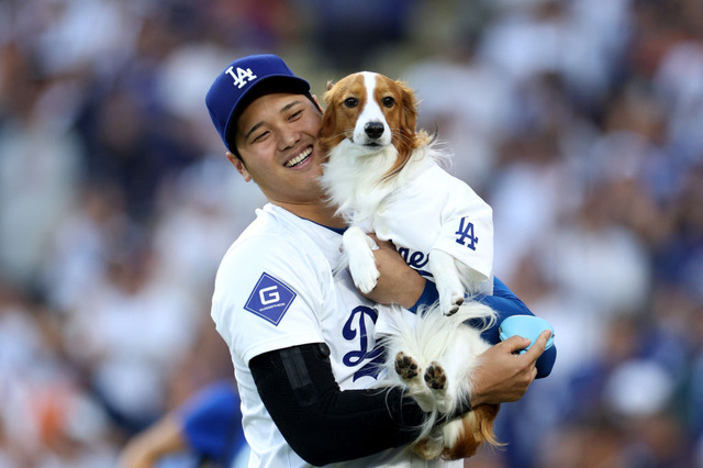 大谷翔平、愛犬の写真投稿！「デコピン」2歳の誕生日 画像