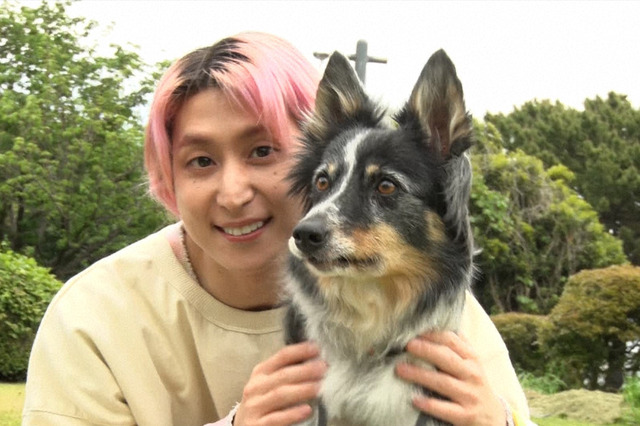 佐久間大介への愛情を検証！ Snow Man大好き犬は“本物”を見抜けるか…『アニマリング』今夜放送 画像