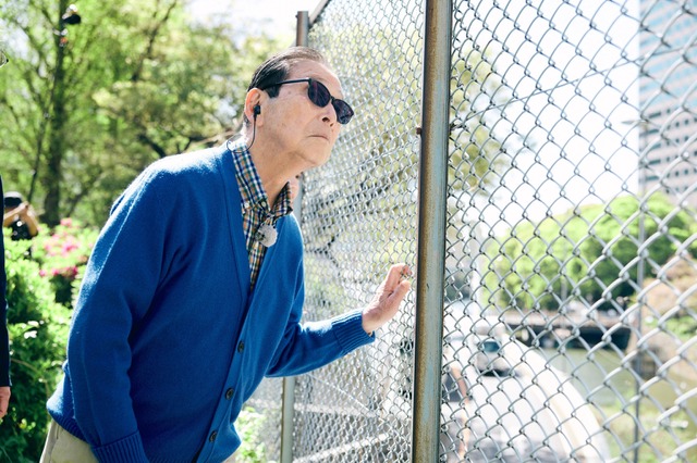 タモリ「江戸が生きているステキな道」 『ブラタモリ』東京の一等地を通る青山通りを特集 画像