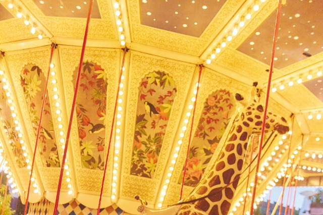 日向坂46・河田陽菜と“遊園地デート”へ！ロマンチックな先行カットが公開 画像