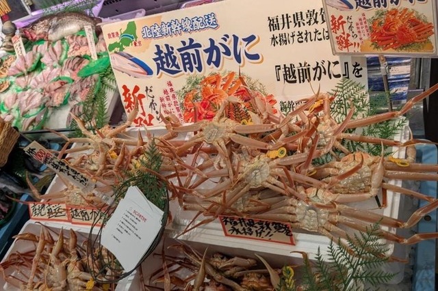 福井県産「越前がに」を“水揚げ当日”に首都圏へ配送！11月29日に東京・埼玉・千葉のイオンで限定販売 画像