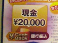 【ポスティングCHECK!】「フレッツ光マンションタイプ」——東京都・調布市 画像